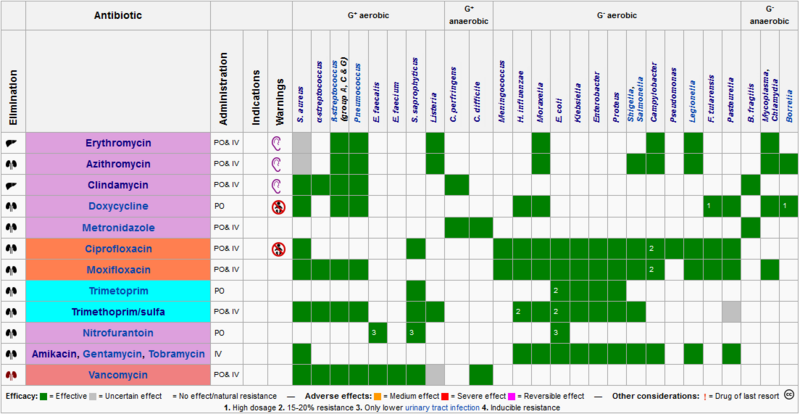 File:Antibiotic chart 1.png