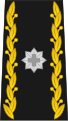 Swiss Army Brigadier