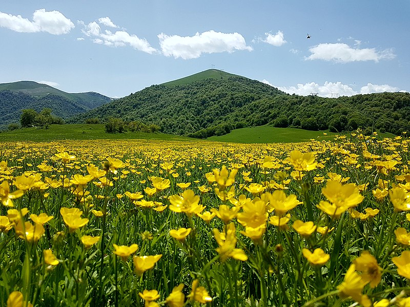 File:Dilijan 115.jpg