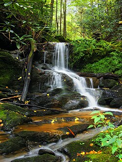 Oakland Run waterfalls as seen from the Mason-Dixon Trail