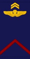 File:Mali-AirForce-OR-2.svg