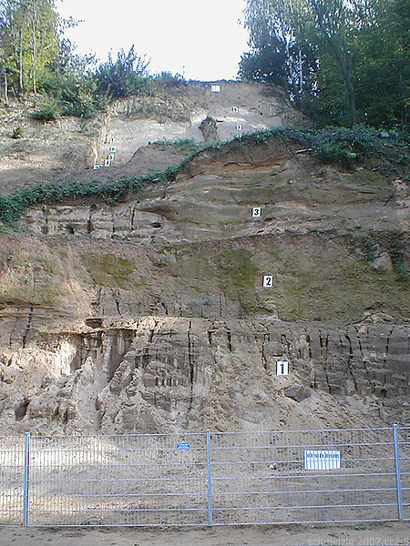 File:Mauer-sandgrube.jpg