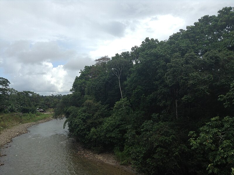 Archivo:Rio Tena.JPG