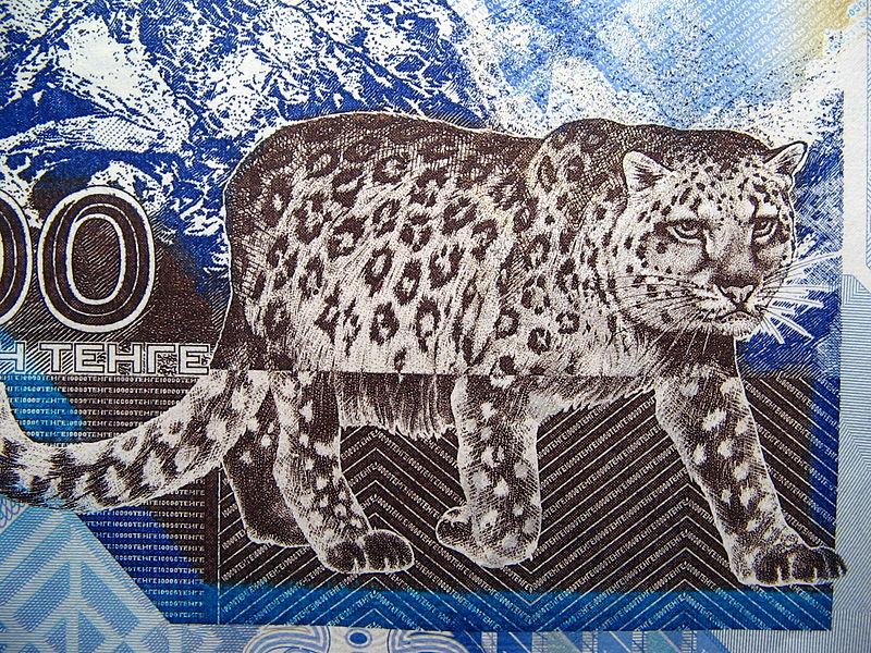 File:SnowLeopard10000KZT.jpg