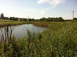 A pond in Srokowski Dwór, a former Drengfurtshof farm