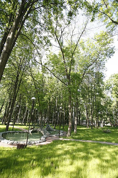 File:Vidnoe city park.jpg