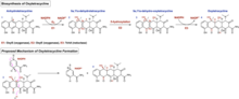 Biosynthesis of Oxytetracycline.png