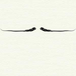 File:English-moustache.svg