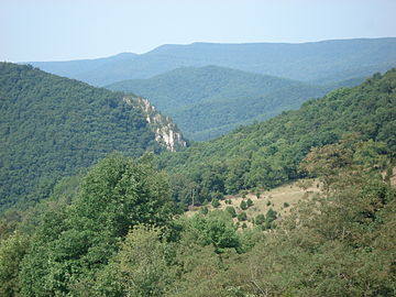 24. Spruce Knob in West Virginia (background mountain)