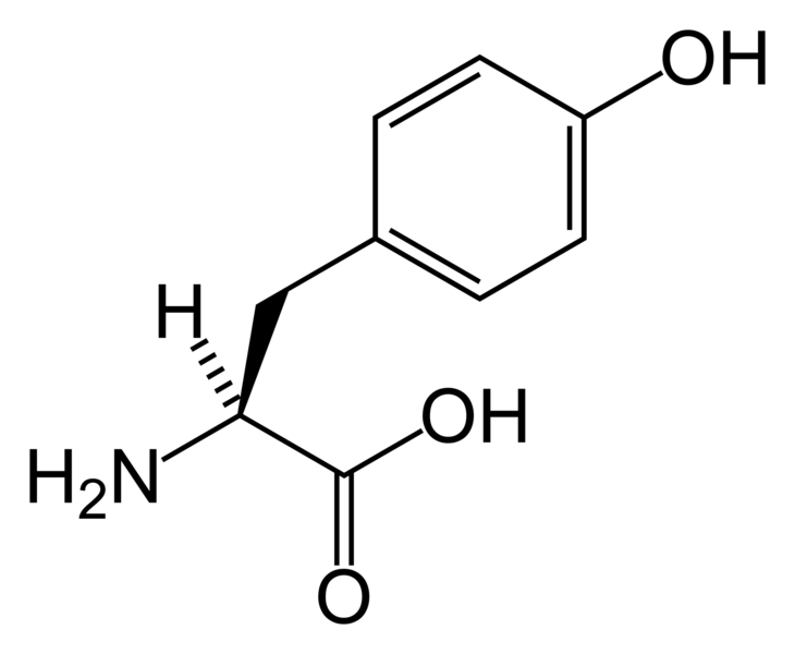 Archivo:L-tyrosine-skeletal.png