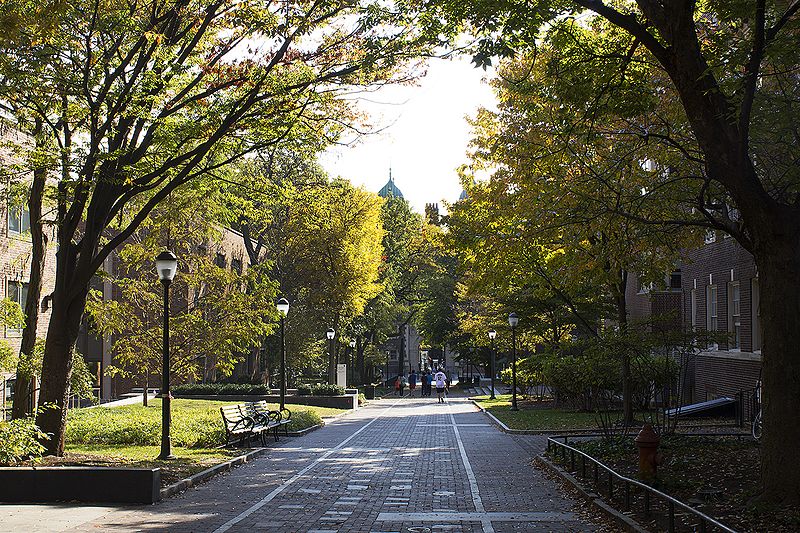 File:Locust Walk by Wharton.jpg