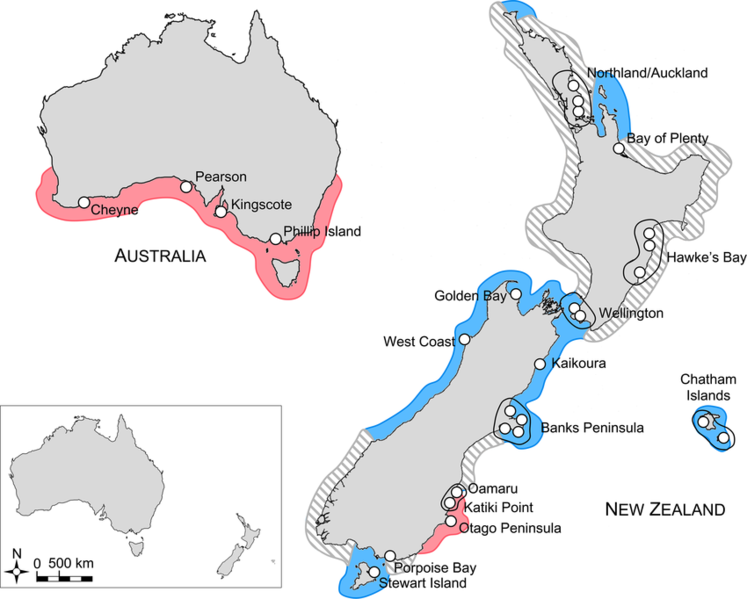 File:Map-of-distribution-of-Eudyptula-penguins-Blue-and-red-colours-indicate.png