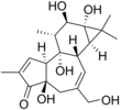 Imagen de la estructura