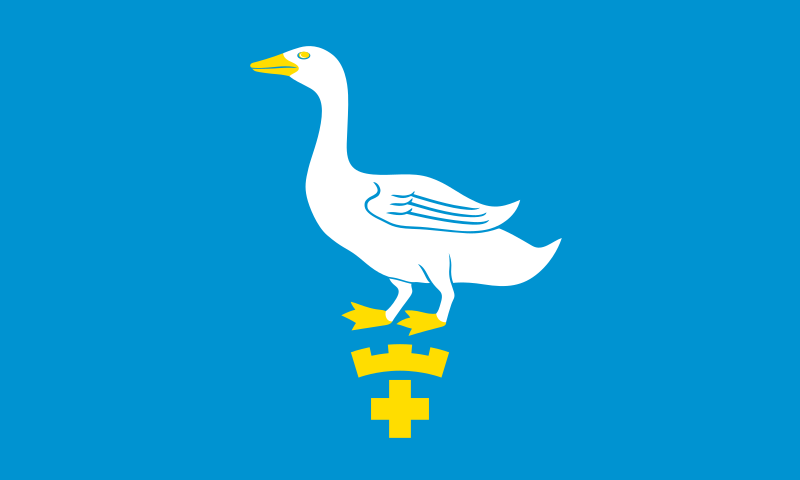 Файл:Pyhäjoki.lippu.svg