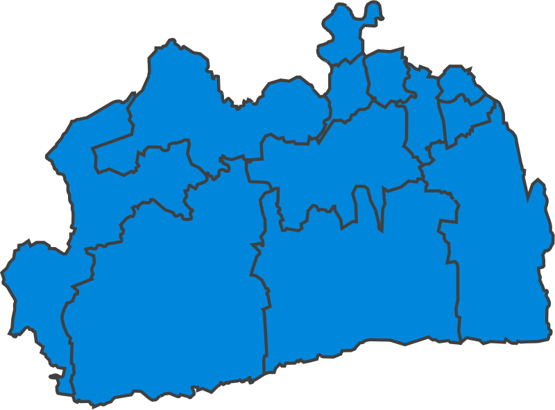 File:SurreyParliamentaryConstituency1918Results.svg