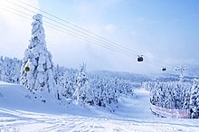 Yamagata-zao ski 1 (200712).jpg