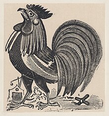 A rooster MET DP874465.jpg