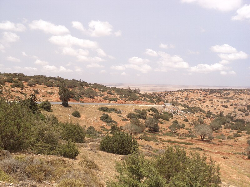 File:Al Marj escarpment6.JPG