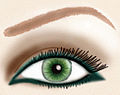 Thumbnail for Eye liner