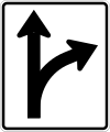 L4 Shared lanes (straight ahead or turn right)