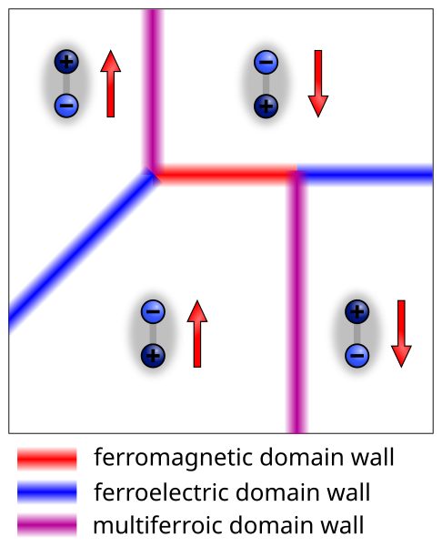 File:Multiferroic domains.svg