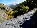 Mountain path