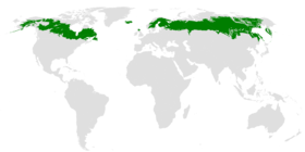 Distribución geográfica de la taiga