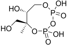 2-C-Methyl-D-erythritol-2,4-cyclopyrophosphate.png