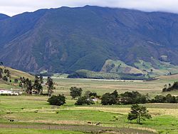 Typical landscape of the Altiplano, near Arcabuco, Boyacá