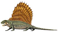 Dimetrodon, a pelycosaur, was at the top of the food chain in the Cisuralian