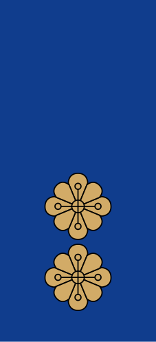 File:Estonia-Police-Vanemkomissar.svg