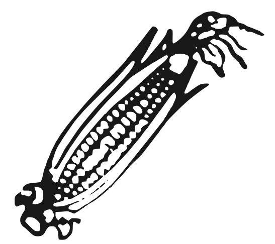 File:Indian Election Symbol Maize.svg