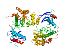 Protein MAPK9 PDB 3E7O.png