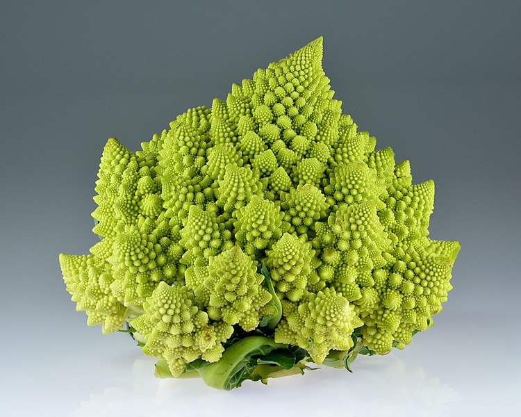 File:Romanesco broccoli (Brassica oleracea).jpg