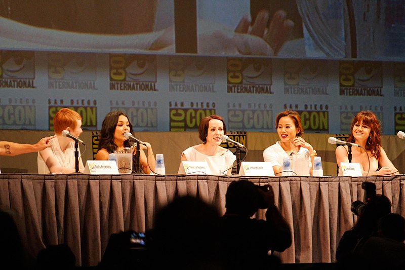 Archivo:Sucker Punch Comic-Con Panel.jpg