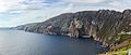 Slieve League Arctic-alpine plants