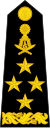 上将