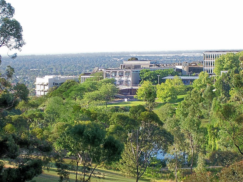 File:Flinders from hill 3.jpg