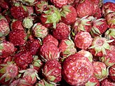 Плоды земляники зелёной (Fragaria viridis)