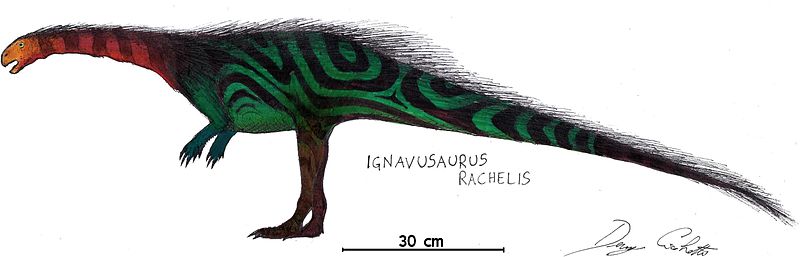 File:Ignavusaurus Restoration.jpg