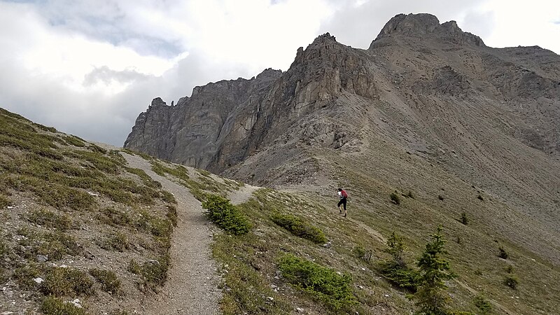 File:Mount Edith (30006941678).jpg