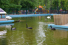 Rostov-na-Donu Park Revolucii.jpg