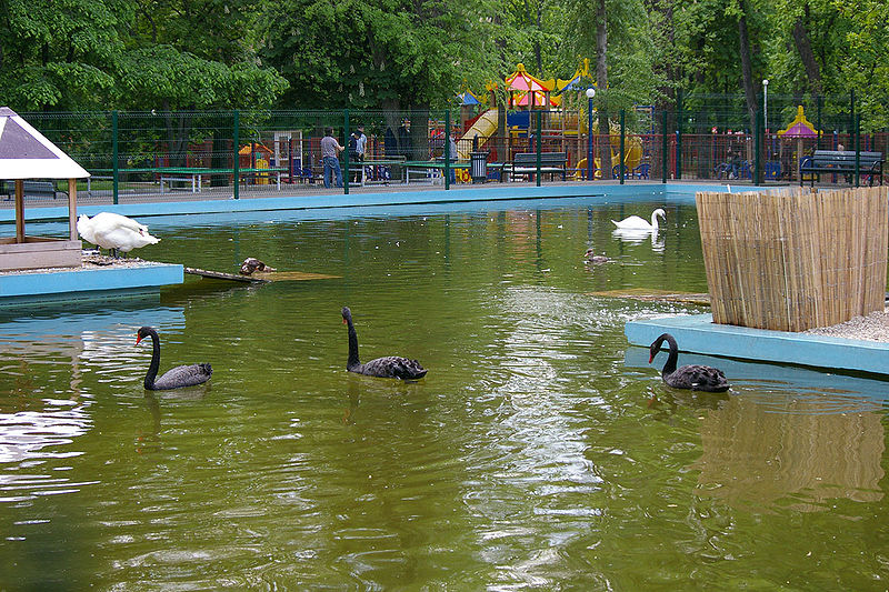 Файл:Rostov-na-Donu Park Revolucii.jpg