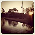 Pond at park