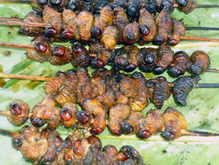 Sago grub satay