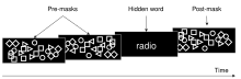 Visual Masking.svg