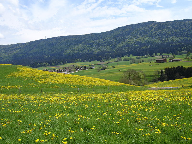 File:Vue sur Malleray.jpg