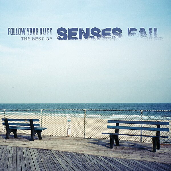 File:07-04-Discs-Senses-Fail-Follow-Your-Bliss.jpg