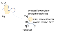 A protocell away from a hydrothermal vent must create its own proton-motive force, such as by splitting hydrogen sulphide.[250]