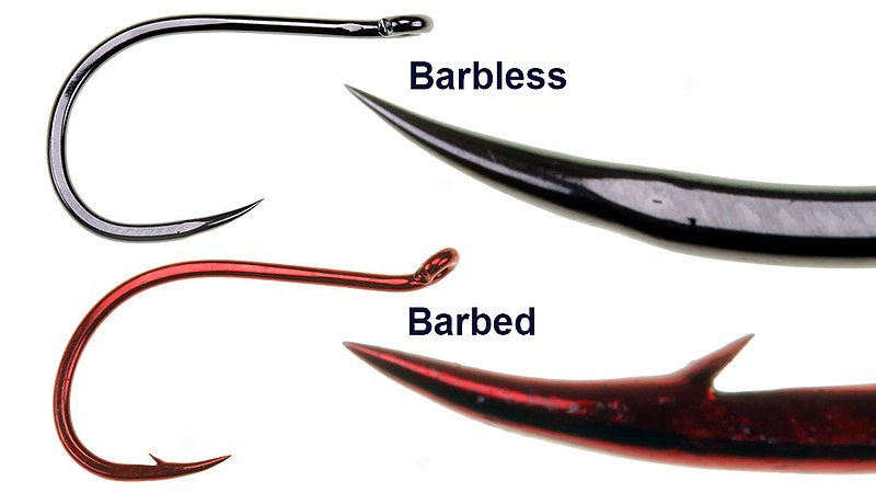 File:Barbed vs barbless hooks.jpg